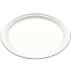 Husky Bridge-Gate 9 In White Bagasse Plate Case Of 500