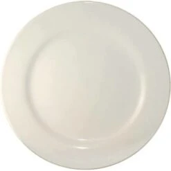 International Tableware 9 Inch Plate Case Of 1
