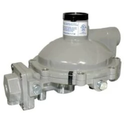 GENERIC Pol X 3/4 Fpt Twin Stage 1.4m Regulator Full Size Body