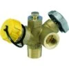 Cavagna Gas Multivalve 3/4"mnpt -Gastro Gas 295643 MainProductImage Lg