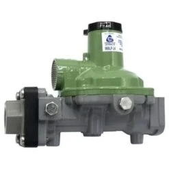 GENERIC 1/2 X 1/2 Fpt Guardian Compact Second Stage Regulator