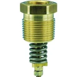 Cavagna Gas Safety Relief Valve Straight 375 Psig