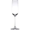 Thunder Group 7 Ounce Champagne Glass - Polycarbonate - Clear