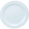Thunder Group Melamine 10-1/4" Dinner Plate Package Of 6 1 Thunder Group Melamine 10-1/4" Dinner Plate Package Of 6 -Gastro Gas 752185 K Lg