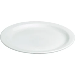 GENERIC Empire Stoneware 8-1/2" Salad Plate, Package Of 24