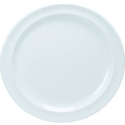 Thunder Group Melamine 9" Dinner Plate Package Of 12